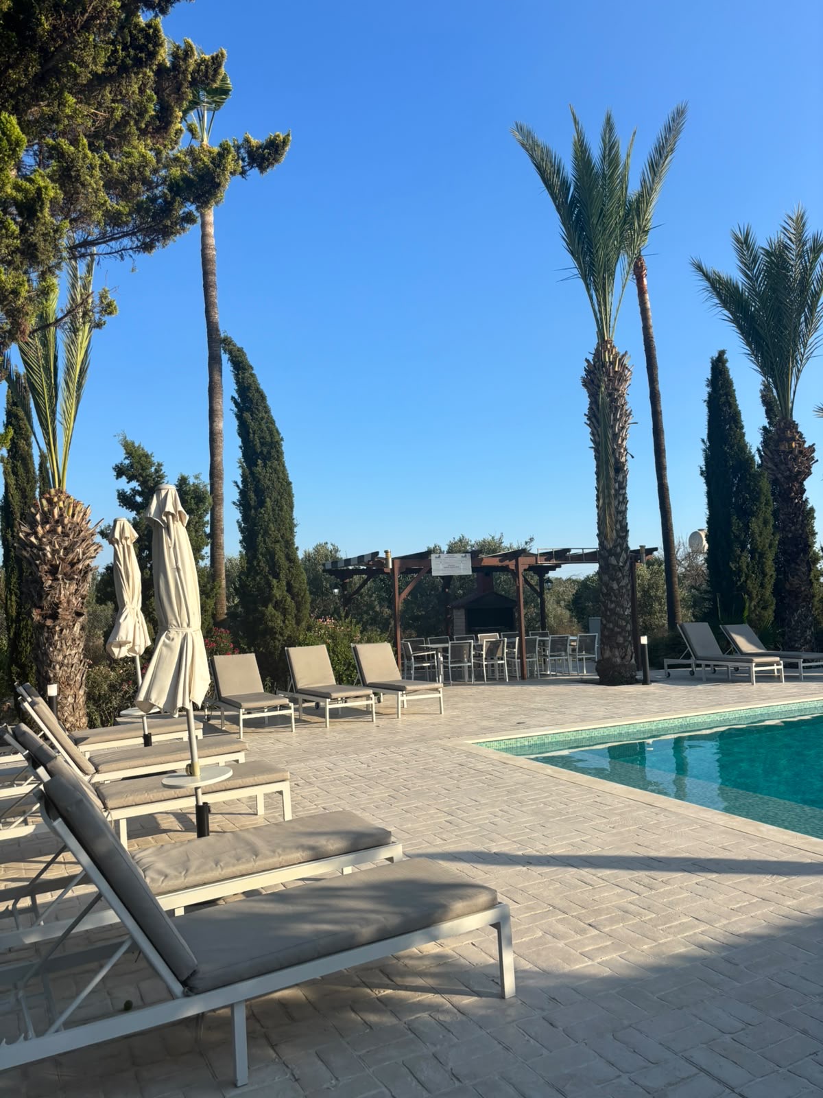 Sun loungers on a paved pool terrace beneath palm trees
