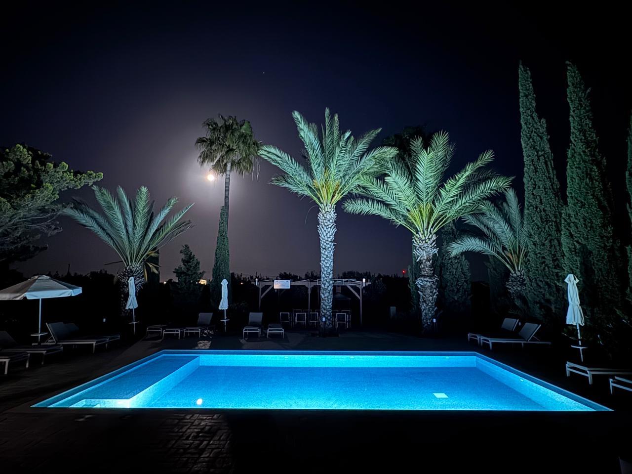 A lit swimming pool beneath palm trees at night
