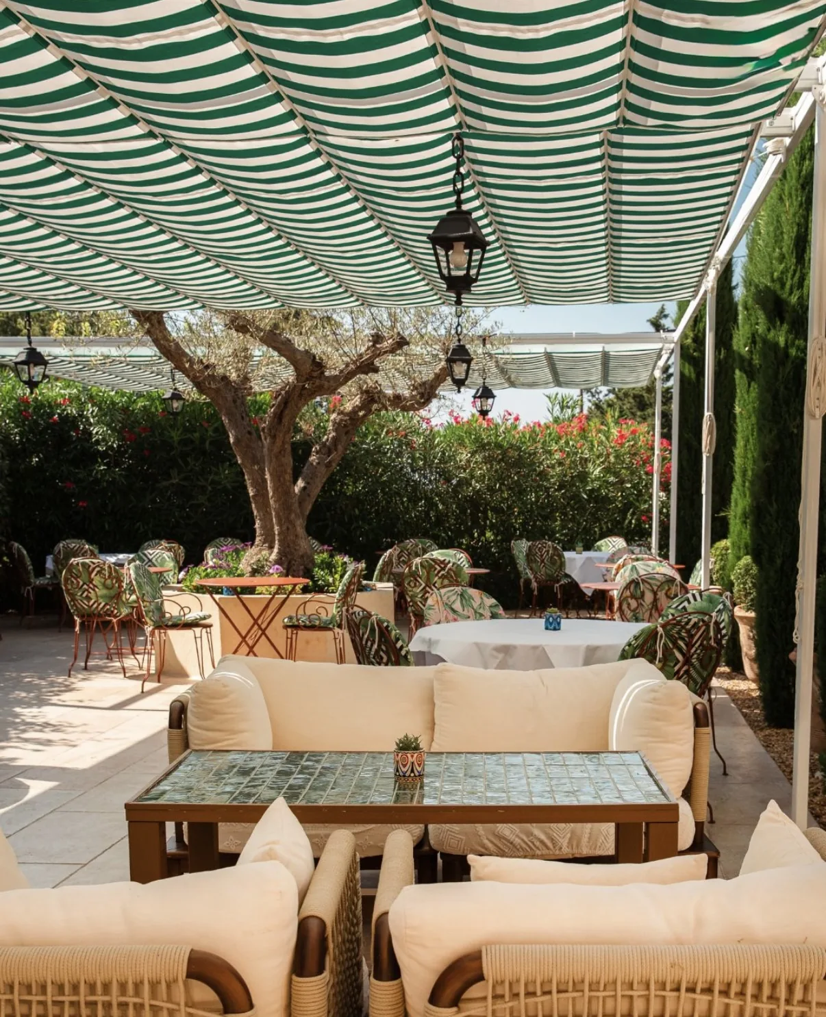 Sous les stores de la terrasse, canapés et tables dressées autour de l'olivier